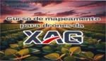 Curso de Mapeamento Para Drones da XAG por Eduardo dos Anjos: visão interna do funcionamento