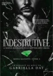 Capa do eBook Indestrutível de Gabriella Day ambientado no universo de máfia italiana