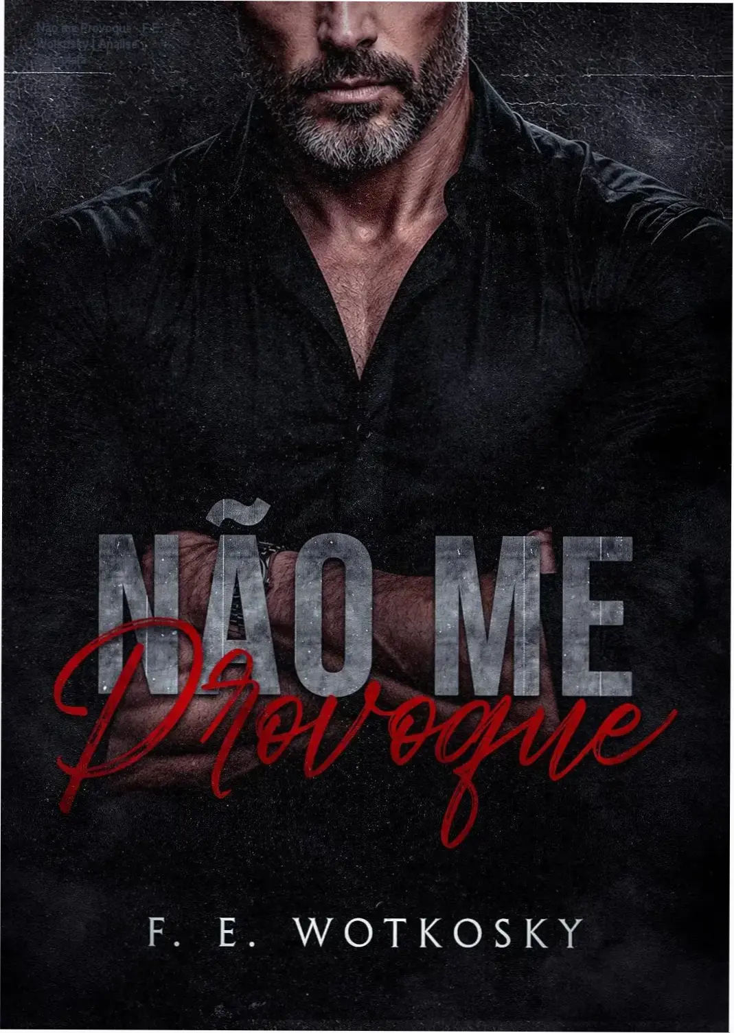 Capa do ebook Não me Provoque de F.E. Wotkosky, romance dark romance age gap vingança