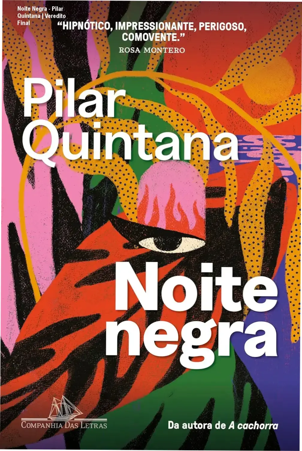 Noite Negra - Pilar Quintana | Veredito Final 1 Capa do livro Noite Negra de Pilar Quintana destacando a atmosfera de tensão e mistério