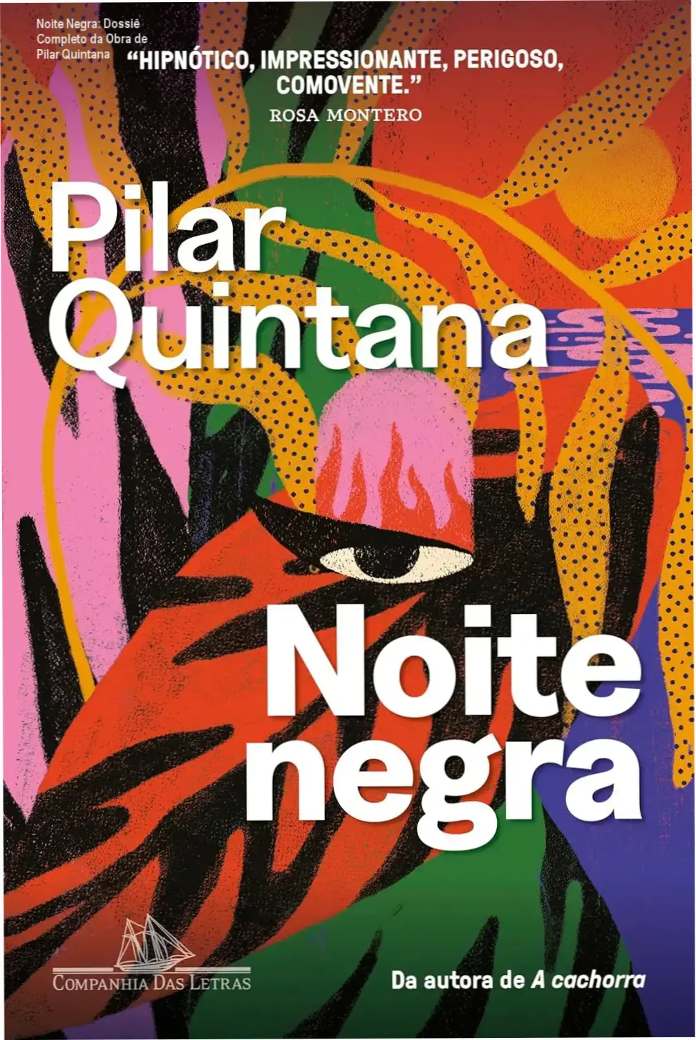 Noite Negra: Dossiê Completo da Obra de Pilar Quintana 1 Noite Negra por Pilar Quintana: visão interna da narrativa e atmosfera