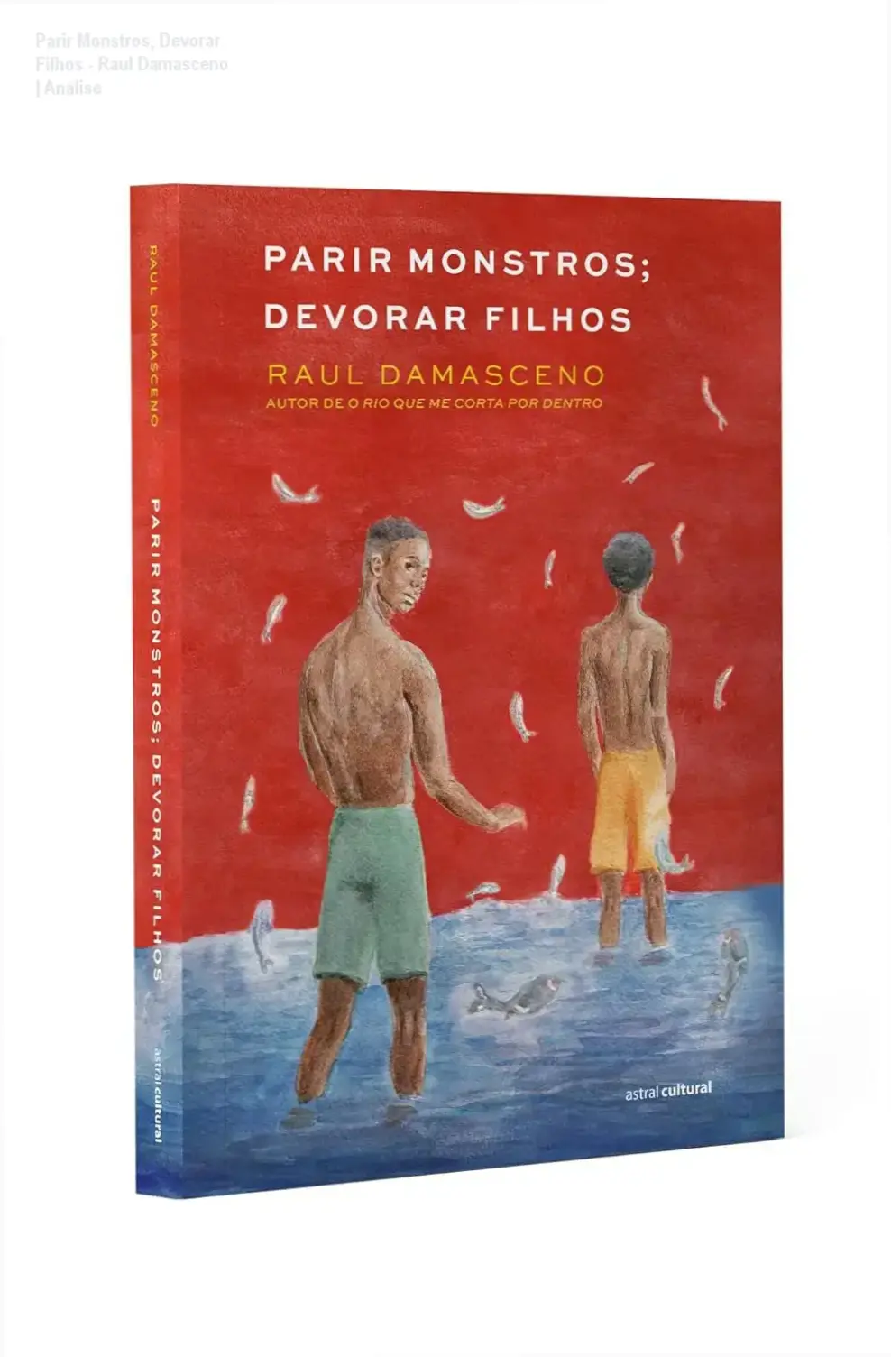 Capa do livro Parir monstros, devorar filhos de Raul Damasceno ilustrando temas de maternidade e destino.