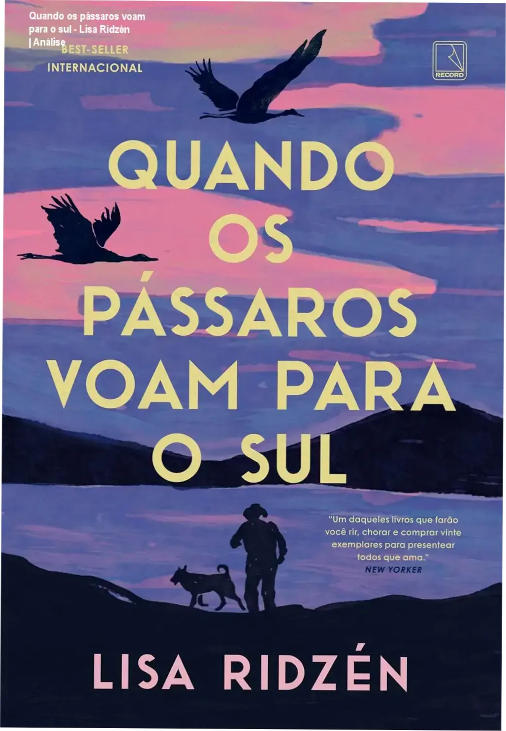 Quando os pássaros voam para o sul - Lisa Ridzén | Análise 1 Capa do livro Quando os pássaros voam para o sul de Lisa Ridzén em estilo minimalista nórdico