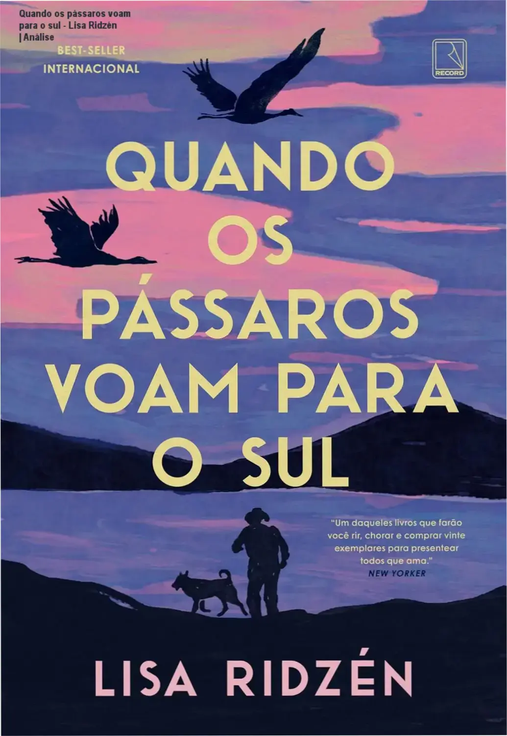 Capa do livro Quando os pássaros voam para o sul de Lisa Ridzén representando o isolamento e a memória.