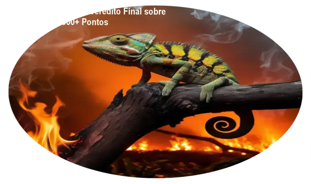 Redação Camaleão: Veredito Final sobre o Método de 900+ Pontos 1 Redação Camaleão de Lucio Jacobelli: visão interna da plataforma e funcionamento do método