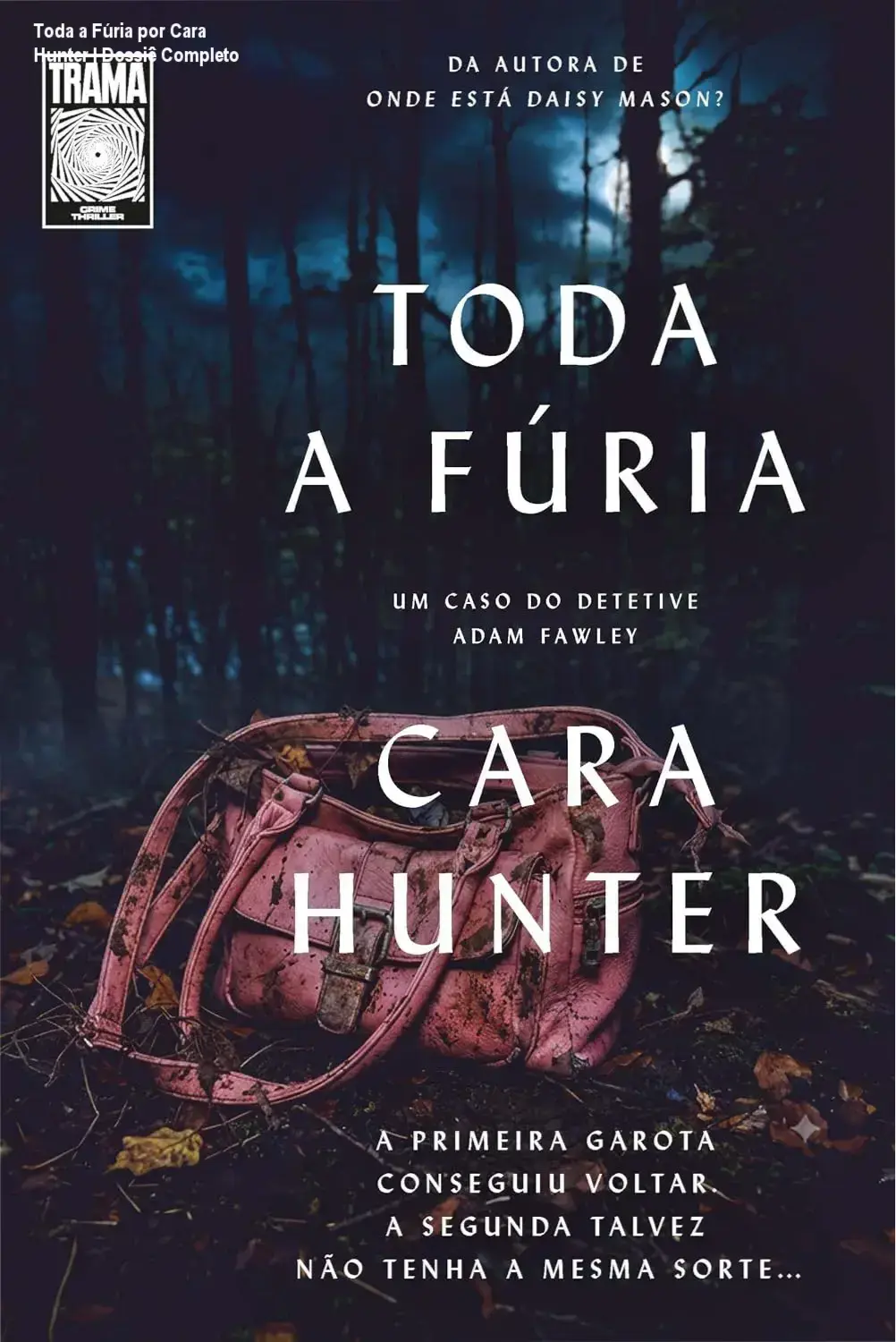 Toda a Fúria por Cara Hunter | Dossiê Completo 1 Capa do livro Toda a fúria por Cara Hunter em formato digital de alta resolução
