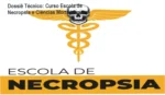 Curso Escola de Necropsia e Escola Plenarius: bastidores e funcionamento da plataforma