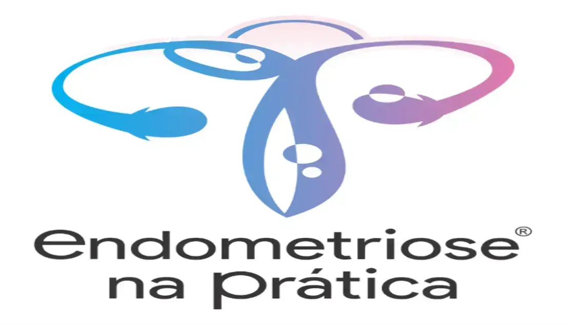 Endometriose na Prática: Veredito Final sobre a Metodologia 1 Curso Endometriose na Prática do Dr. Vinícius Araújo: visão interna da plataforma e módulos