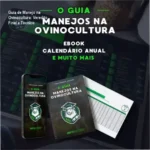 Guia de Manejo na Ovinocultura de Tomaz Cavagnari: visão interna das planilhas de gestão