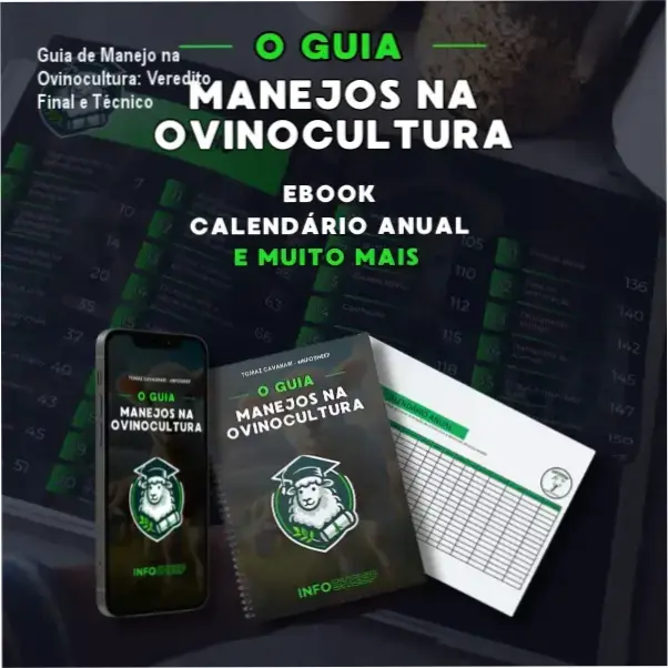 Guia de Manejo na Ovinocultura de Tomaz Cavagnari: visão interna das planilhas de gestão