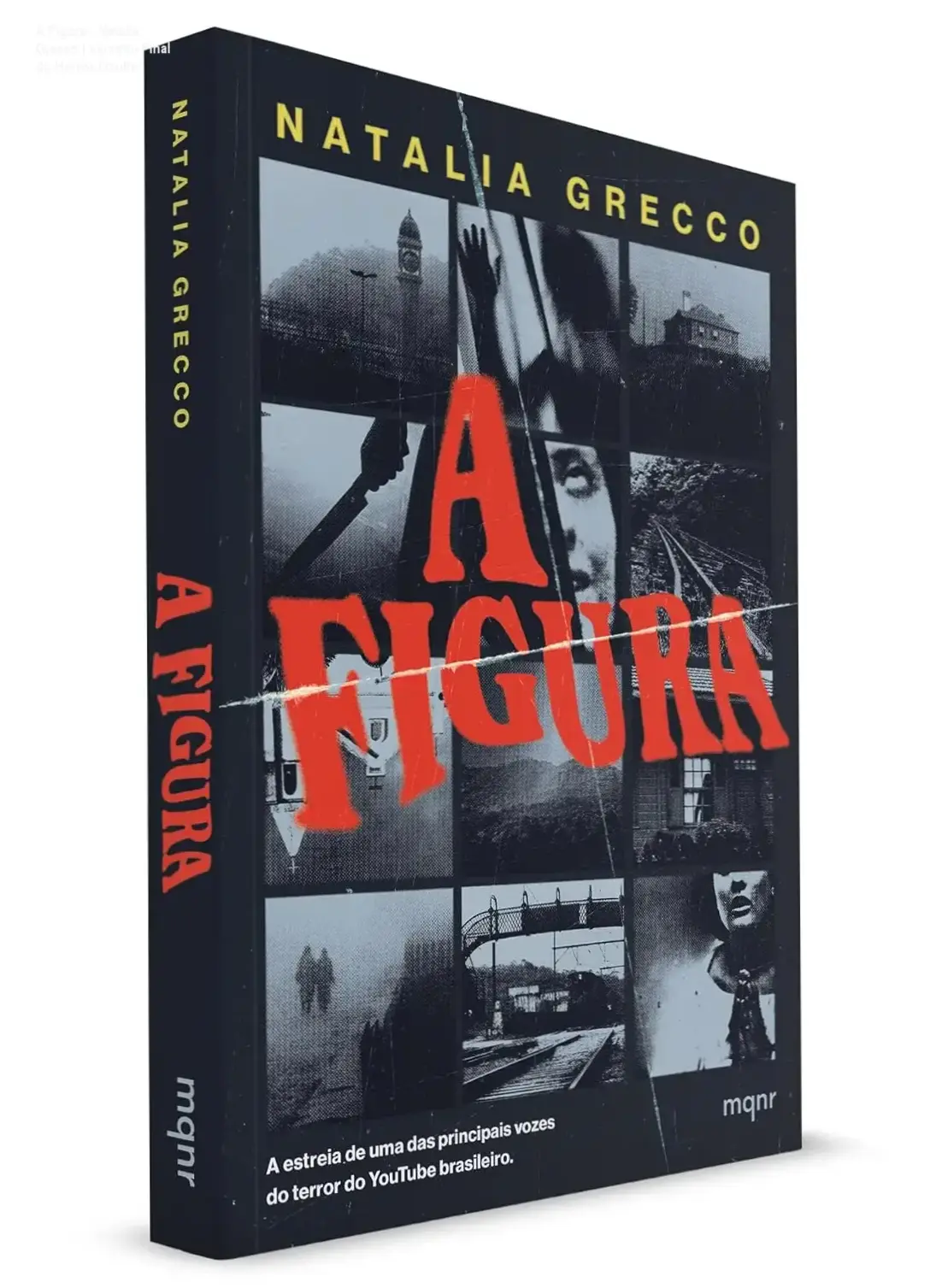 Capa do livro A Figura de Natalia Grecco, obra de terror oculto e suspense psicológico