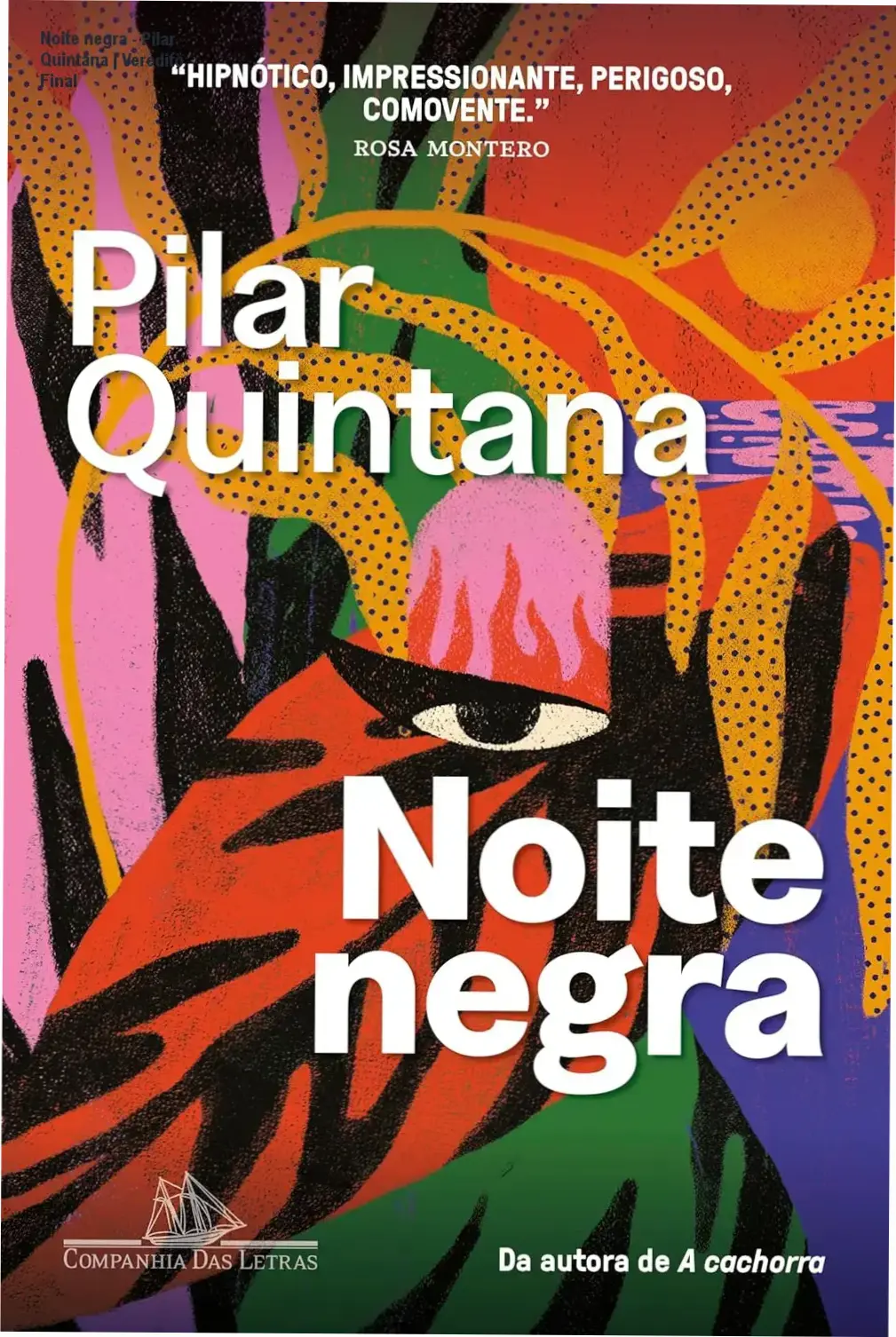Capa do livro Noite negra de Pilar Quintana destacando a atmosfera de suspense e isolamento