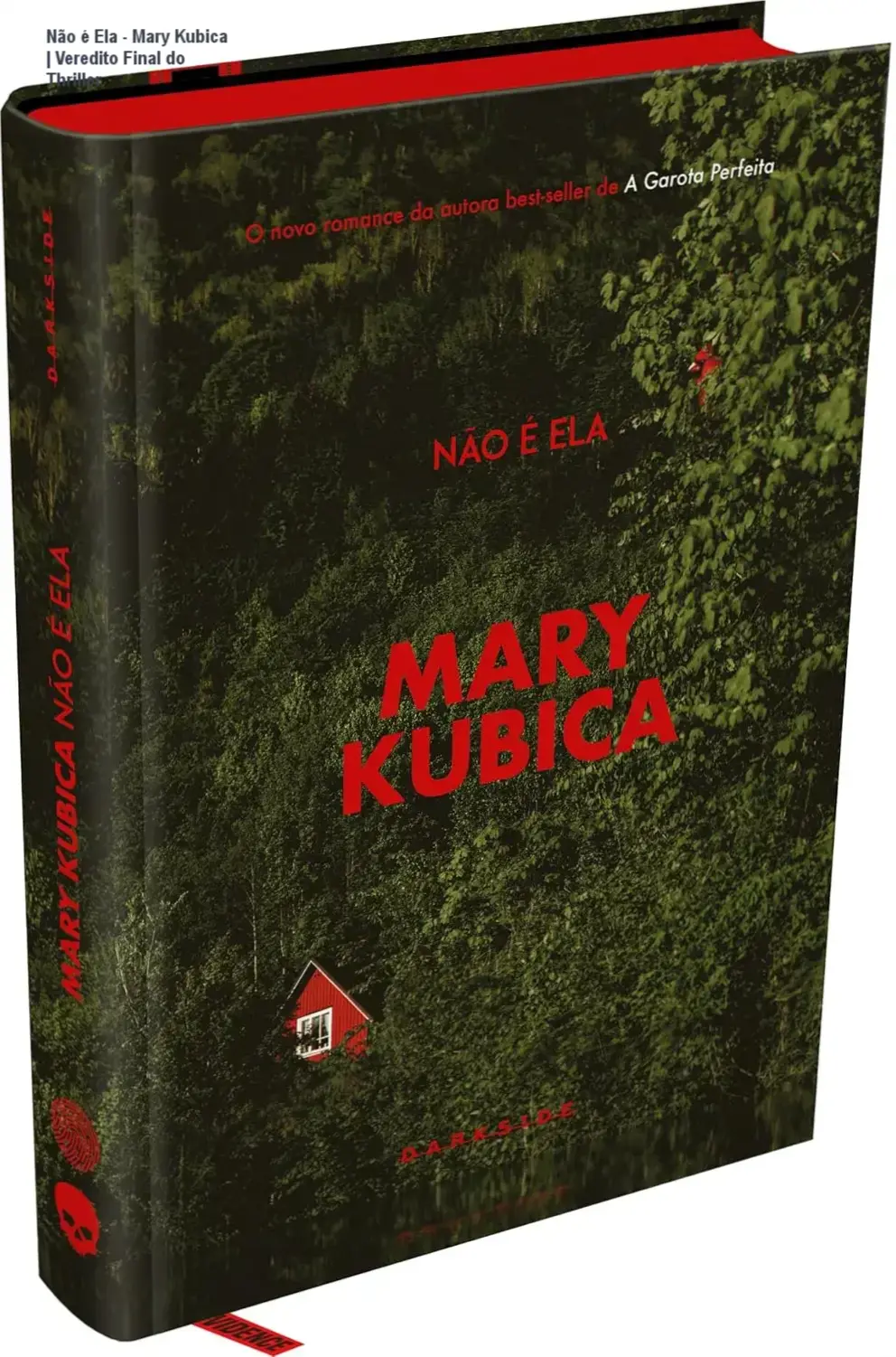 Não é Ela - Mary Kubica | Veredito Final do Thriller 1 Capa do livro Não é Ela de Mary Kubica, thriller psicológico da Darkside Books