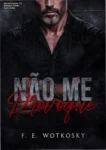 Capa do ebook Não me Provoque de F.E. Wotkosky focada em romance proibido e Age Gap