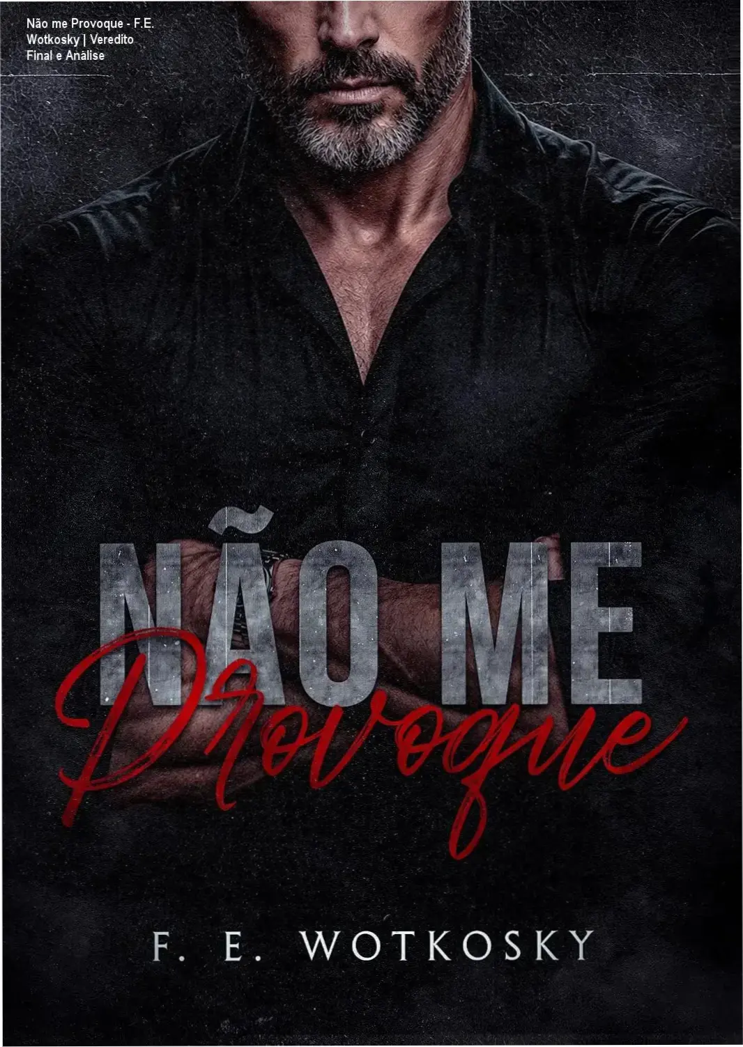 Não me Provoque - F.E. Wotkosky | Veredito Final e Análise 1 Capa do ebook Não me Provoque de F.E. Wotkosky focada em romance proibido e Age Gap
