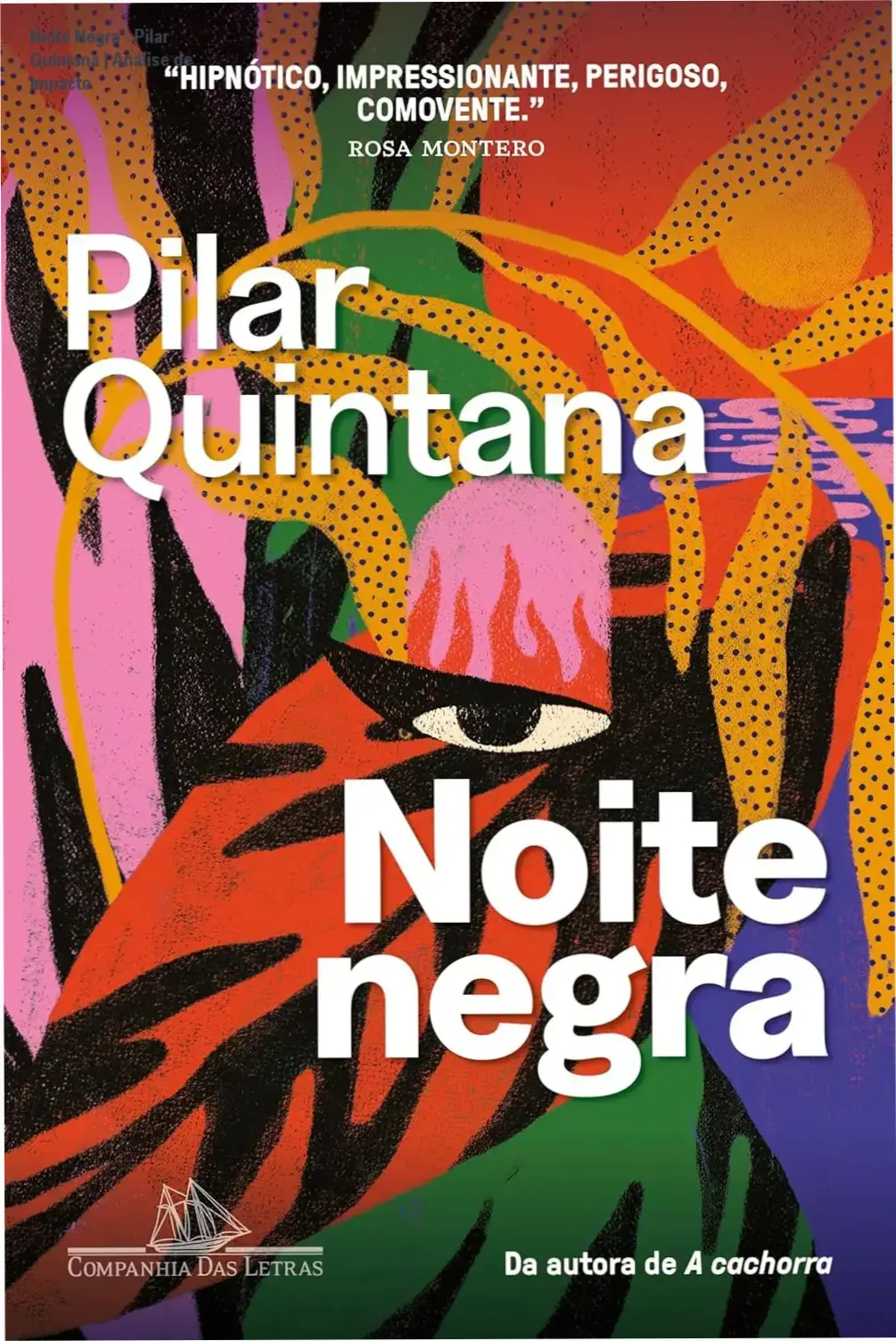 Noite Negra - Pilar Quintana | Análise de Impacto 1 Capa do livro Noite Negra de Pilar Quintana evocando suspense e isolamento