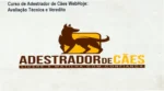 Curso de Adestrador de Cães WebHoje: Visão interna da plataforma e módulos de ensino